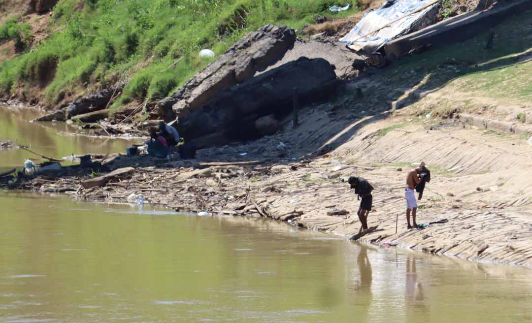 Agência Nacional de Águas e Saneamento Básico declara situação crítica de escassez hídrica nos rios Juruá, Purus, Acre e Iaco