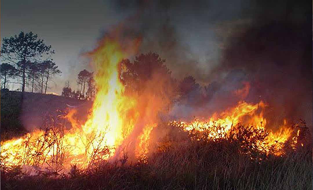 Comitê Nacional estabelece regras obrigatórias para prevenção de incêndios em áreas rurais