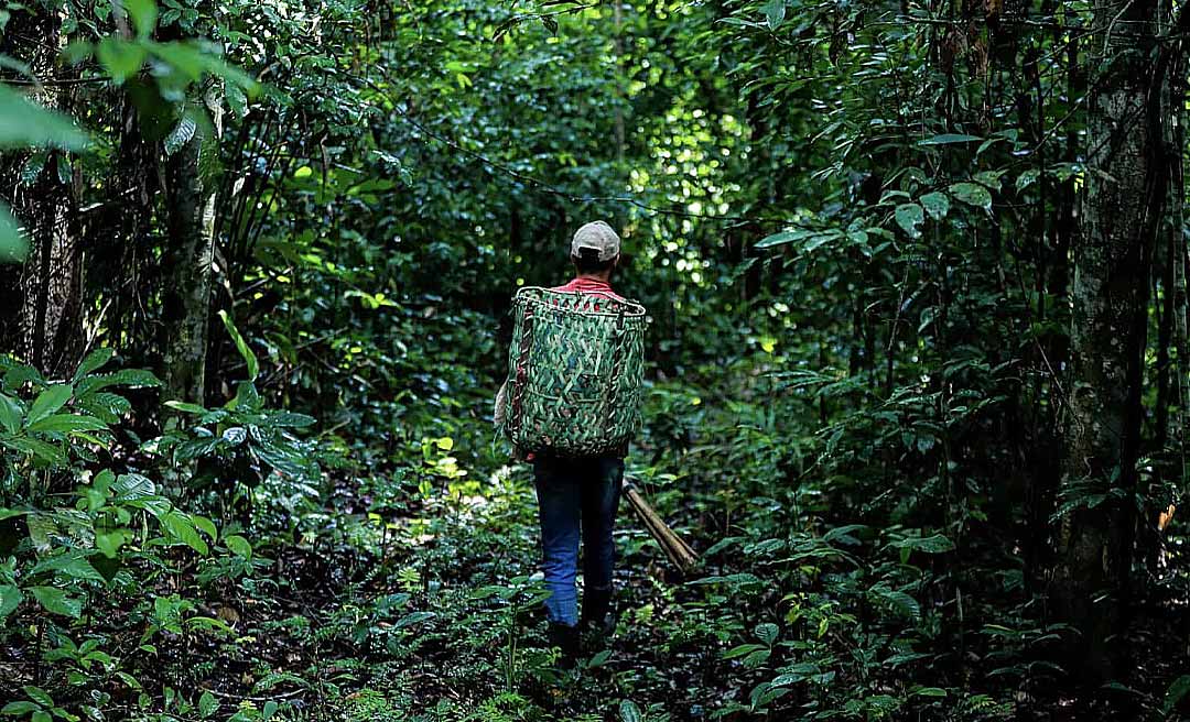Compensação ambiental de reserva legal é regulamentada no Acre; medida beneficia milhares de produtores rurais com passivo ambiental