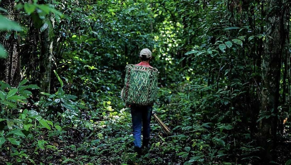 Compensação ambiental de reserva legal é regulamentada no Acre; medida beneficia milhares de produtores rurais com passivo ambiental