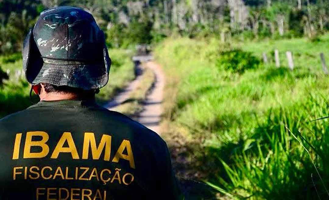 Governo autoriza nomeação de 460 aprovados em concurso do Ibama; cargos são de analista administrativo e analista ambiental