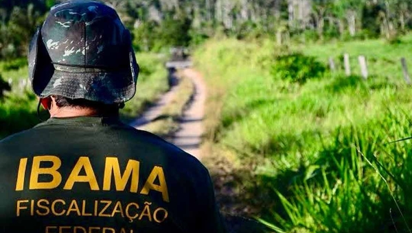 Governo autoriza nomeação de 460 aprovados em concurso do Ibama; cargos são de analista administrativo e analista ambiental