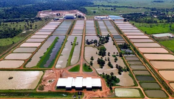 Avaliado em R$ 19 milhões, Complexo Peixes da Amazônia não atrai investidores; leilão está marcado para o dia 15 deste mês