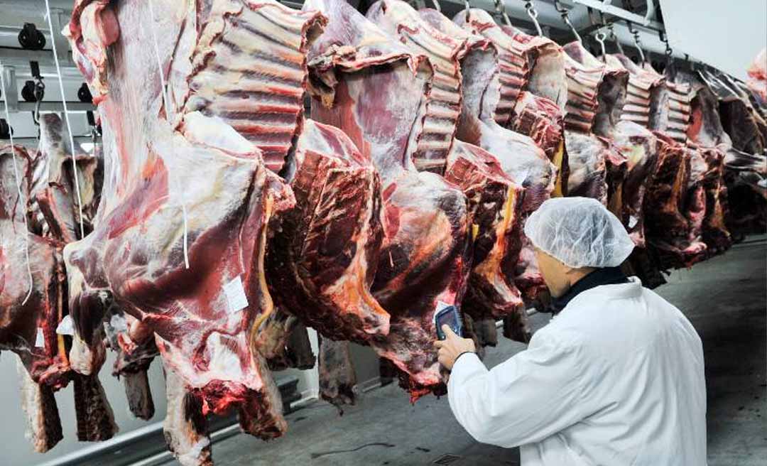 Acre registra aumento no abate de bovinos em 2025, mostra pesquisa IBGE; produção de leite e ovos também cresceu