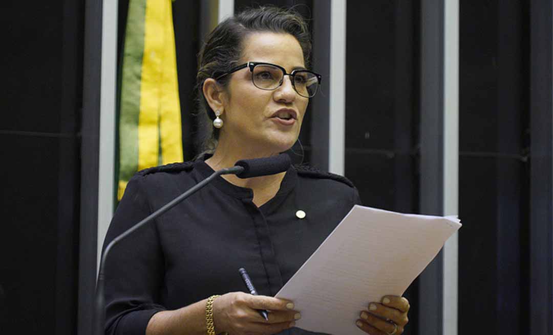 “O Congresso Nacional deve assumir o seu papel, aprovando uma anistia ampla e irrestrita”, diz Mara Rocha