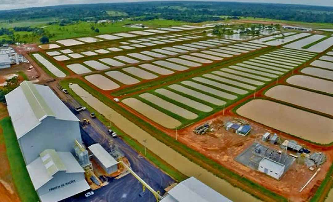 Justiça do Acre inicia leilão do complexo industrial da Peixes da Amazônia na segunda-feira, 15