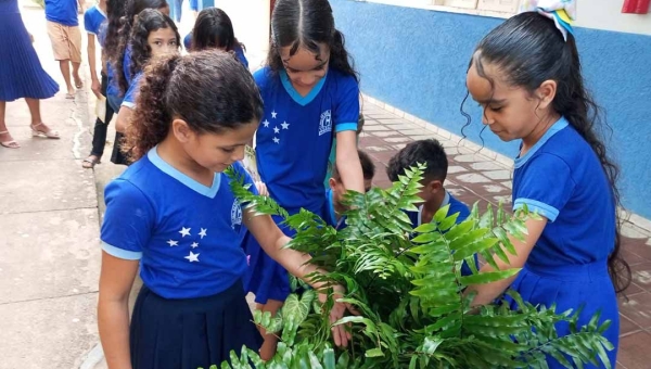 Projeto Todos Contra o Aedes aegypti inicia segunda etapa com formação e Dia D de mobilização em Rio Branco