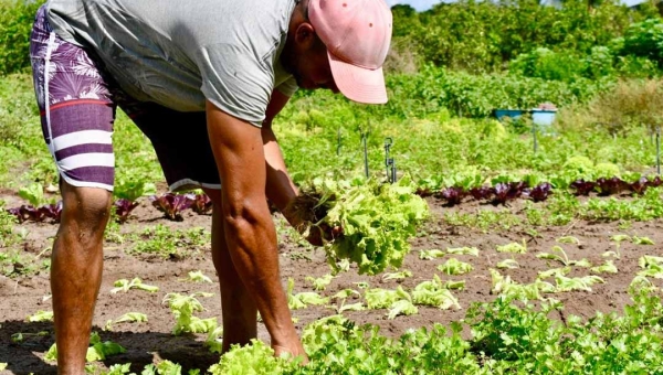 CMN cria linha de crédito de R$ 12 bilhões para socorrer produtores rurais afetados por eventos climáticos