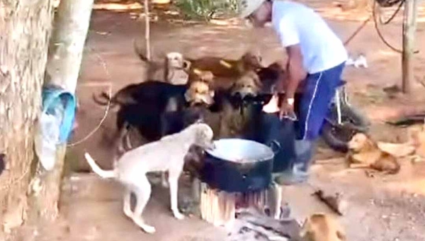 Ativista da causa animal pede apoio para idoso que cuida de mais de 30 animais abandonados em Rio Branco