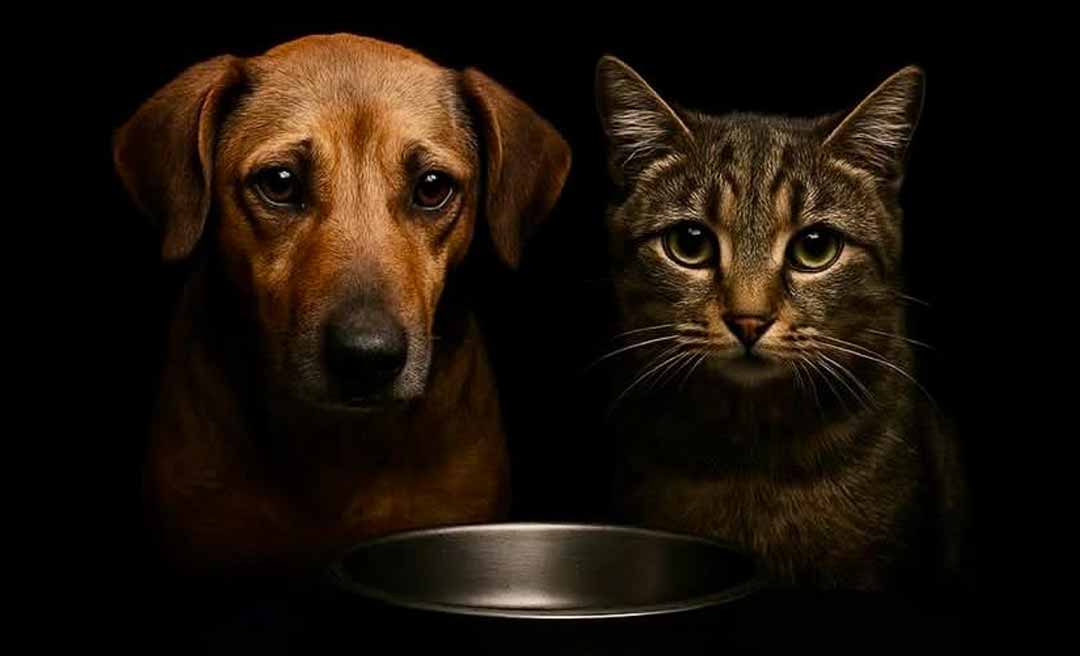 Associação Patinha Carente faz apelo por doações de ração em Rio Branco: “A fome dói... e eles não têm voz para pedir socorro”