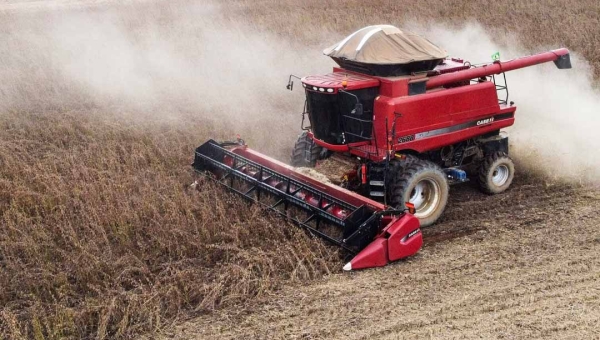 Soja puxa balança comercial do Acre para cima, porém pressiona pecuária extensiva para a abertura de novas áreas