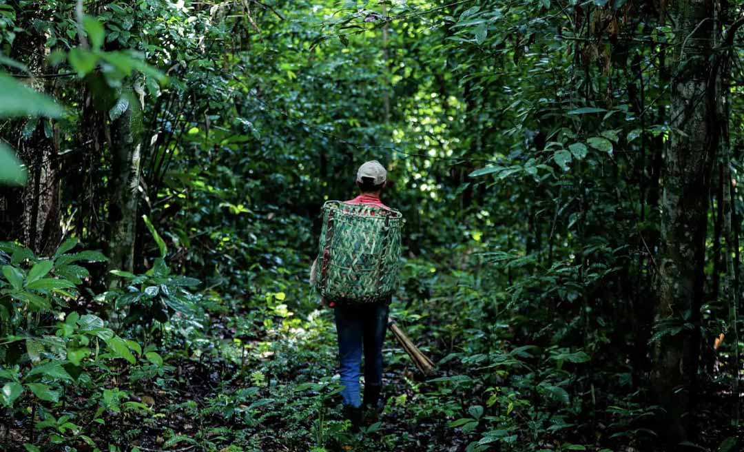 Governo publica decreto que cria grupo de trabalho para acompanhar a regularização dos passivos ambientais de reserva legal
