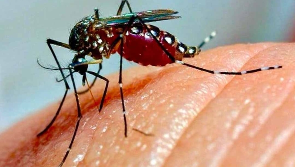 Casos de dengue disparam no Acre em 2025 e cobertura vacinal ainda é baixa; mais de 8 mil notificações foram registradas