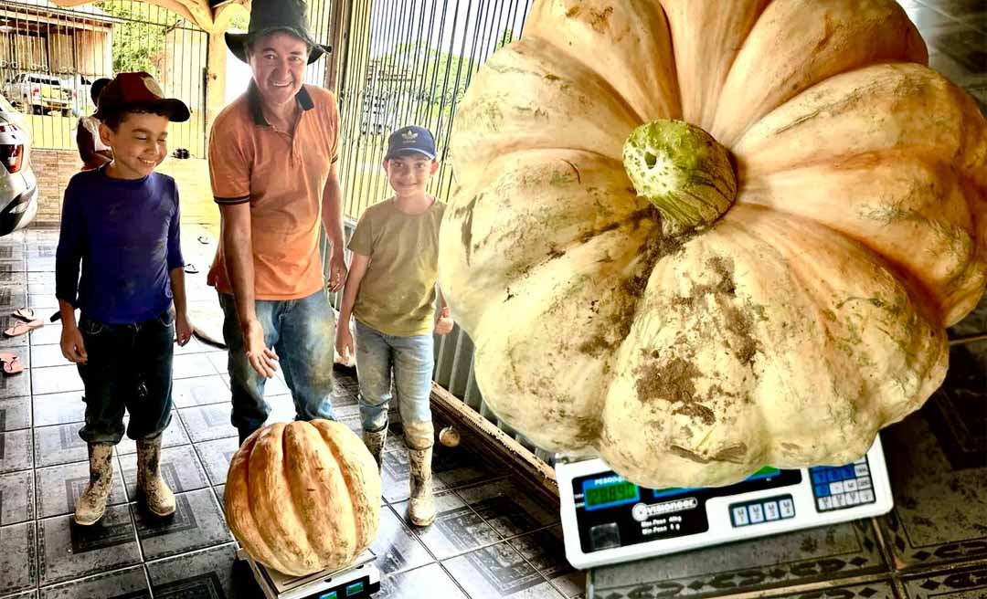 Ex-vereador Francisco Piaba colhe jerimum de quase 30 quilos em plantação no Polo Benfica: “A gente planta com amor e a terra responde”