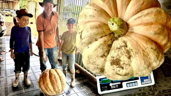 Ex-vereador Francisco Piaba colhe jerimum de quase 30 quilos em plantação no Polo Benfica: “A gente planta com amor e a terra responde”