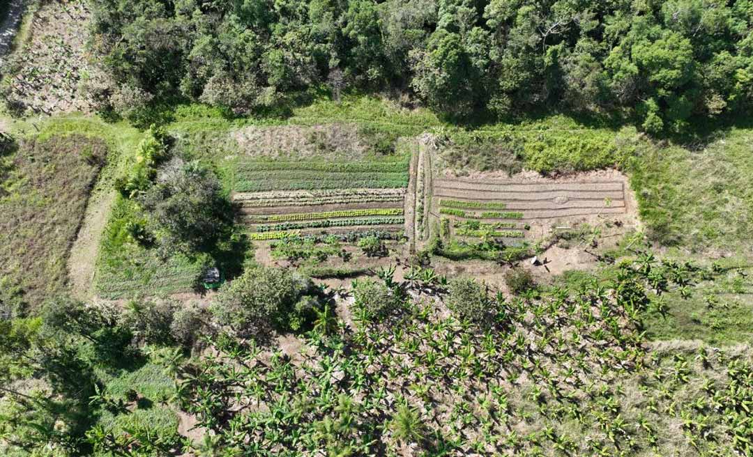 Empréstimo do governo Gladson junto ao BNDES visa implantar 2 mil hectares de agroflorestas no Acre, beneficiando 2 mil famílias