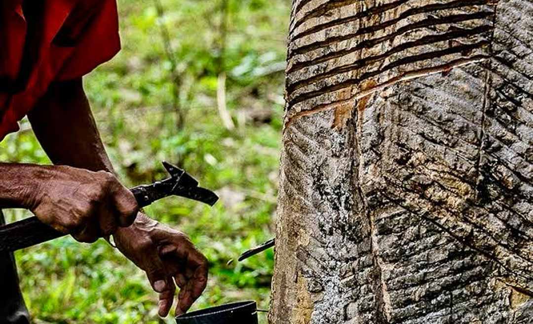 Acre receberá R$ 126 milhões para recuperação ambiental com apoio do Fundo Amazônia
