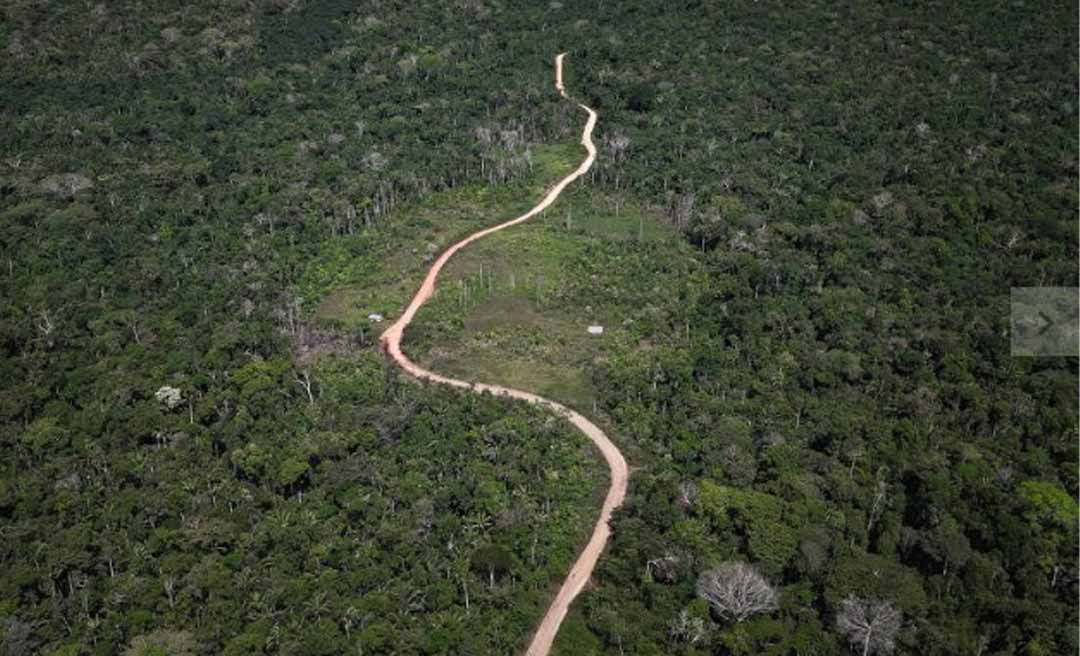 Noruega mandou mais dinheiro para o Fundo Amazônia que deputados e senadores da Amazônia, incluindo os do Acre