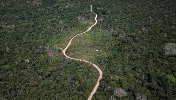 Noruega mandou mais dinheiro para o Fundo Amazônia que deputados e senadores da Amazônia, incluindo os do Acre