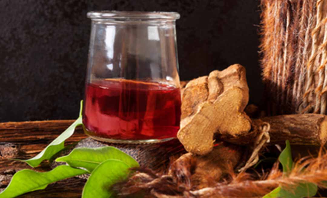 MPF realiza audiência pública no Acre para discutir proteção ao uso sacramental da ayahuasca