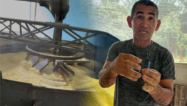 Do tradicional ao moderno: produtor do Alto do Pentecoste transforma a fabricação de farinha no Juruá com tecnologia própria