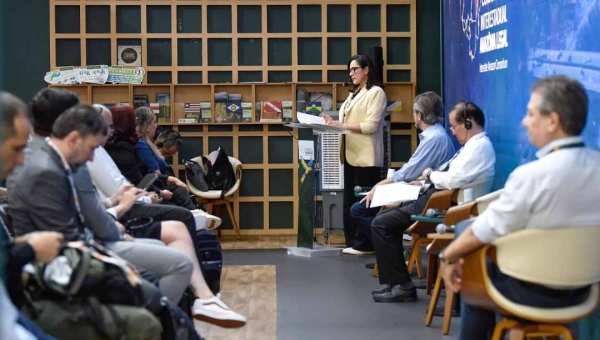 Em painel entre Brasil e China, vice-governadora Mailza reafirma compromisso para construção de soluções econômicas, tecnológicas e ambientais