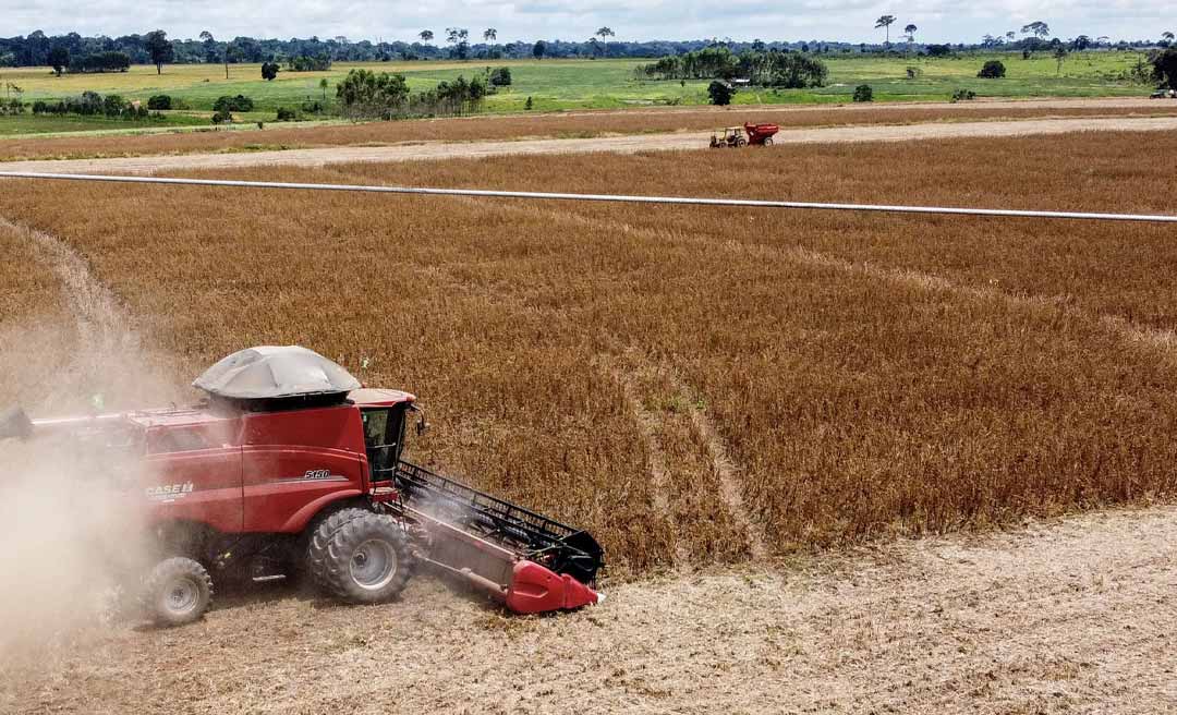 Soja impulsa positivamente o PIB do Acre e coloca estado em destaque no país