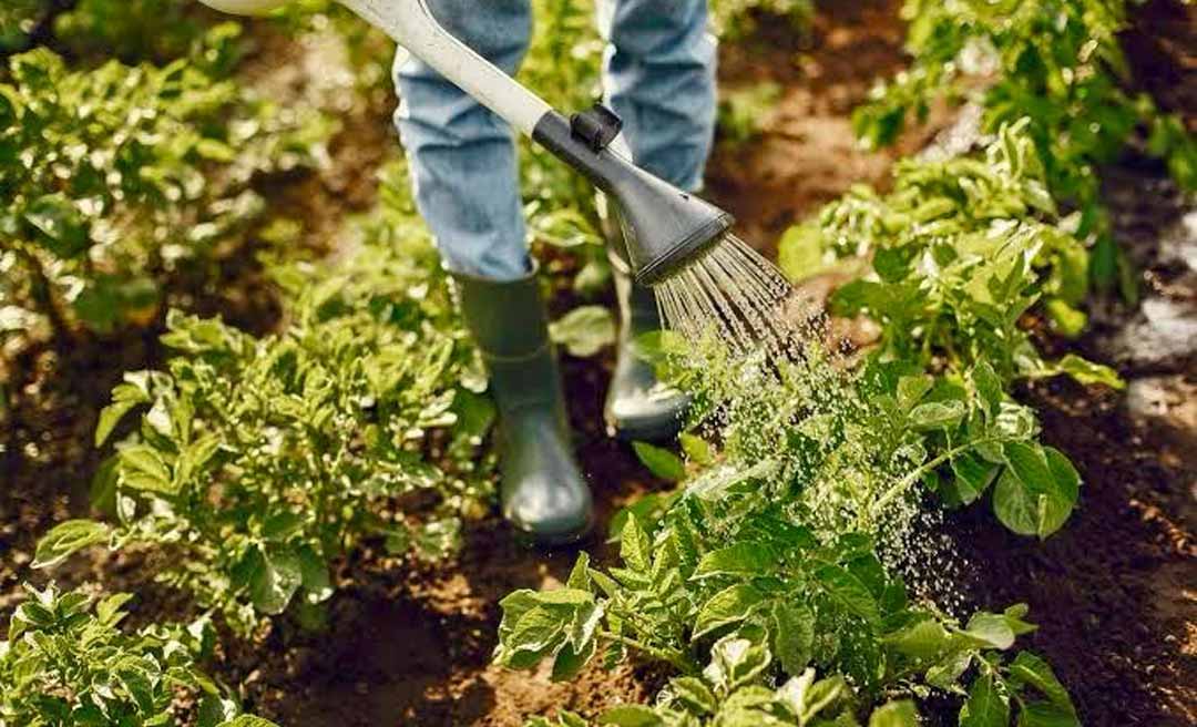 Novo programa federal pretende ampliar irrigação sustentável e garantir água para agricultores familiares
