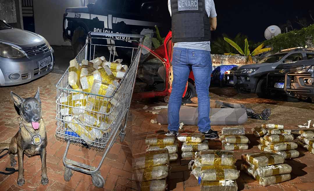 Quase 4 mil quilos de cocaína foram apreendidos no Acre nos últimos seis anos