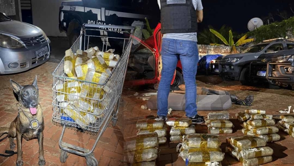 Quase 4 mil quilos de cocaína foram apreendidos no Acre nos últimos seis anos