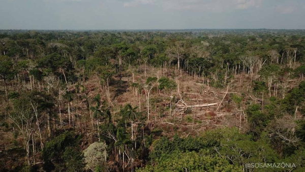Resex Chico Mendes perdeu 43,5 quilômetros quadrados de floresta em 2024, revela FNSP
