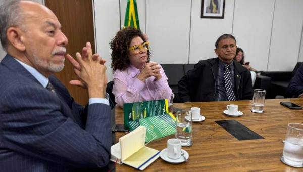 Comitiva do Acre apresenta ao MCTI projetos de apoio a mães solo e atípicas