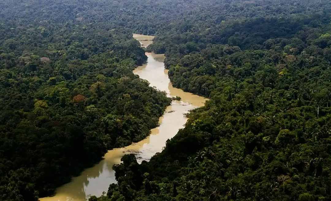 Com 10 projetos, Acre foi o segundo estado que mais recebeu recursos do Fundo Amazônia no ano passado
