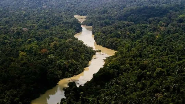 Com 10 projetos, Acre foi o segundo estado que mais recebeu recursos do Fundo Amazônia no ano passado