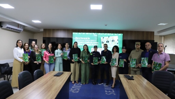 Estado apresenta Plano Estratégico Decenal de Enfrentamento à Violência Contra a Mulher