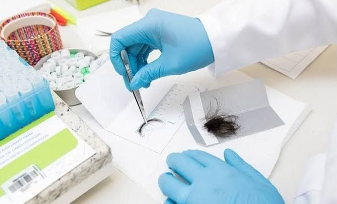 Congresso retoma exigência de exame toxicológico para primeira CNH nas categorias A e B