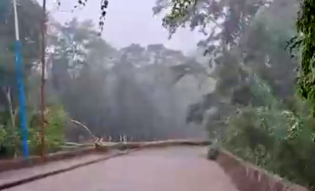 Temporal causa queda de energia, derruba árvore e provoca bloqueio em rua no bairro Placas, em Rio Branco