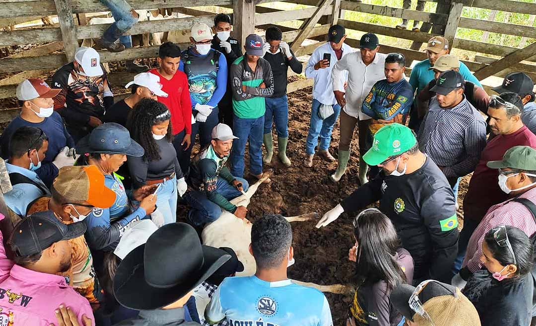 Idaf promove curso de agente vacinador para fortalecer controle da brucelose em Feijó