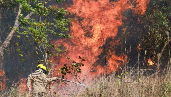 Grupo Operacional de Comando, Controle e Gestão Territorial para enfrentamento às queimadas é criado