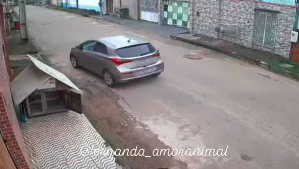 Ativista denuncia abandono de animais e alerta para possível retirada de casinha comunitária em Rio Branco: “Isso não é ajuda, isso é crueldade”