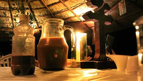 Acre precisa agir para proteger o Santo Chá Sagrado e barrar o comércio ilegal da ayahuasca