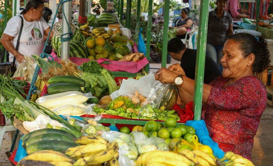 Programa de Aquisição de Alimentos destina mais de R$ 3 milhões a agricultores familiares no Acre