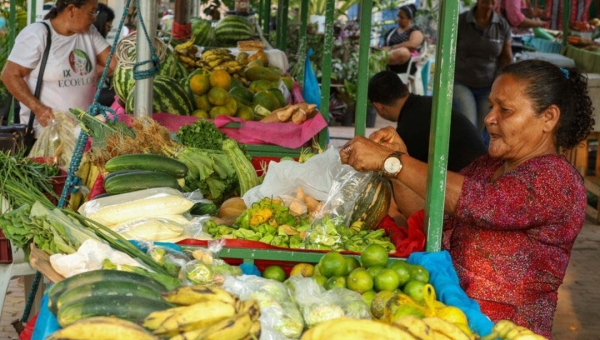 Programa de Aquisição de Alimentos destina mais de R$ 3 milhões a agricultores familiares no Acre
