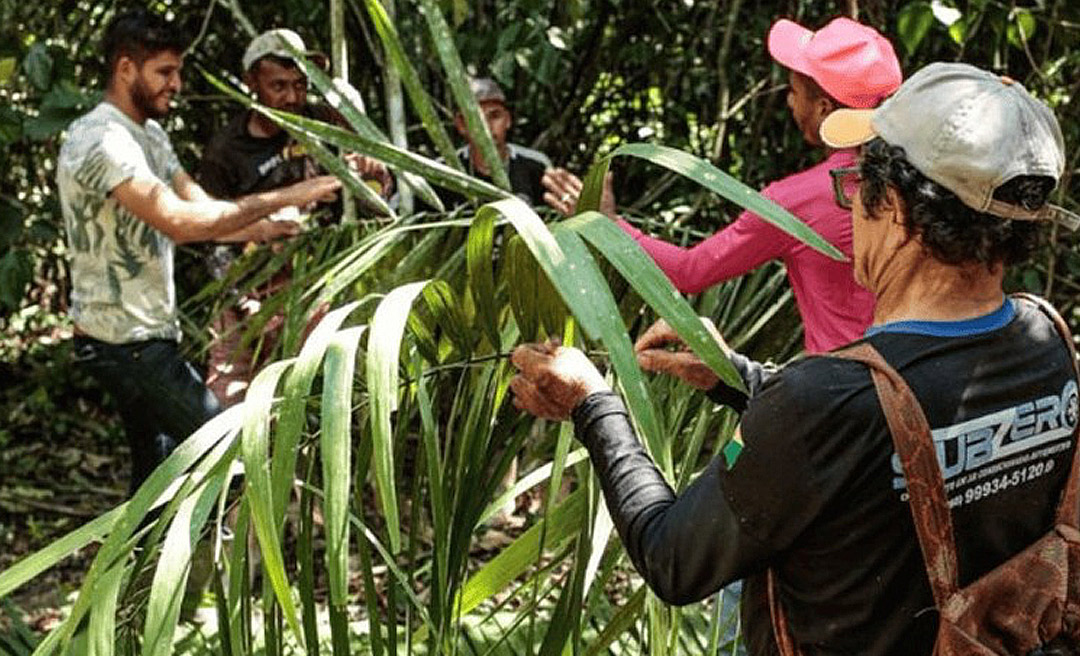 Governo firma acordo para integrar cultura e meio ambiente em territórios tradicionais