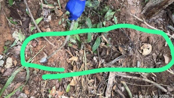 Polícia Civil prende suspeito de homicídio qualificado e ocultação de cadáver na zona rural de Tarauacá