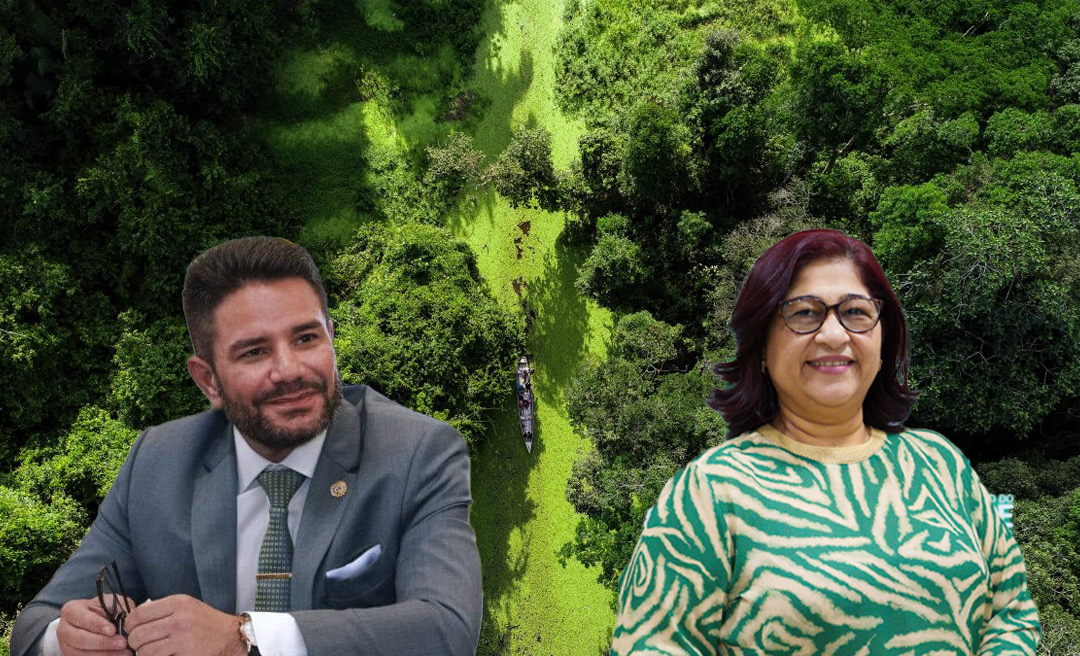 Acre obtém aprovação final para fase de validação e verificação no padrão internacional de alta integridade para geração de créditos de carbono