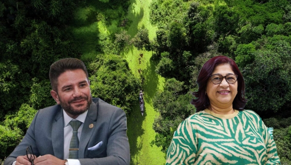 Acre obtém aprovação final para fase de validação e verificação no padrão internacional de alta integridade para geração de créditos de carbono