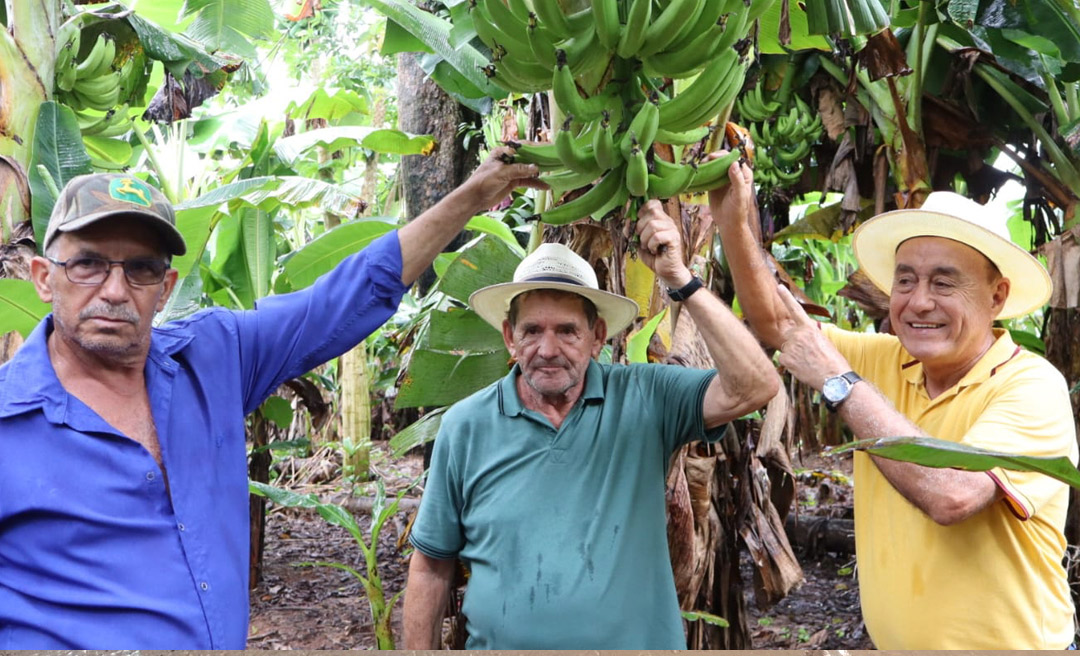 Apoio ao homem do campo vira trunfo político de Bocalom em visita à maior plantação de banana do Acre