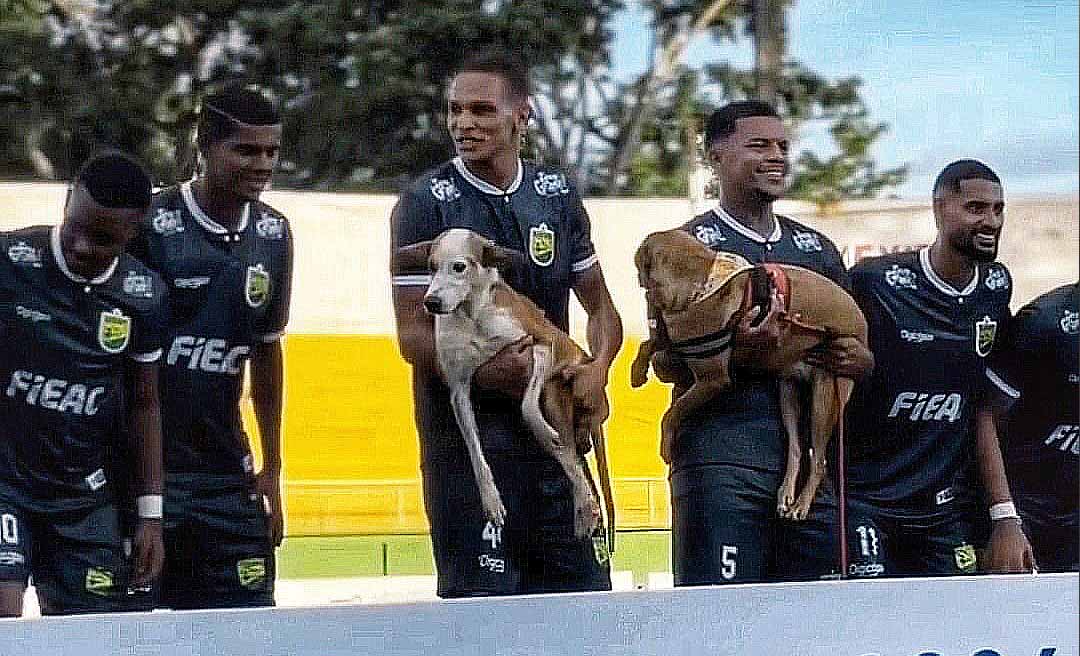 Cães resgatados ganham visibilidade em ação do Galvez durante rodada do Campeonato Acreano