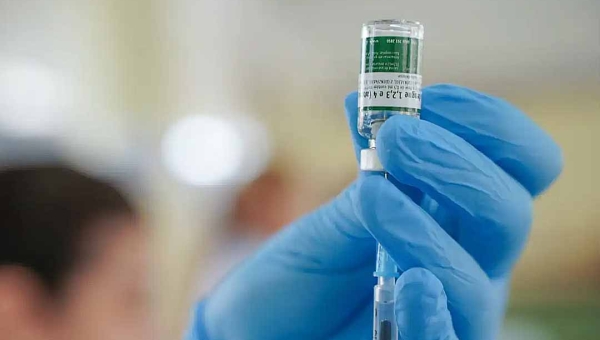 Equipes do Sistema Único de Saúde começam a receber vacina do Butantan contra a dengue